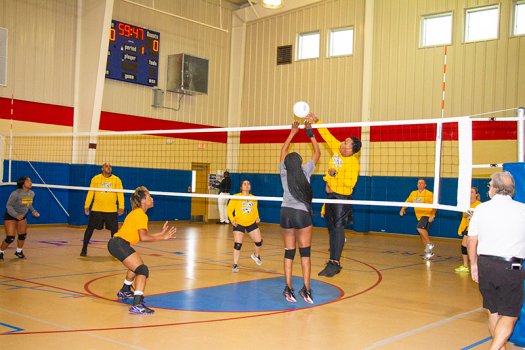 Grown-up volleyball is a hit in St. John Team; Throwbacks brings home title